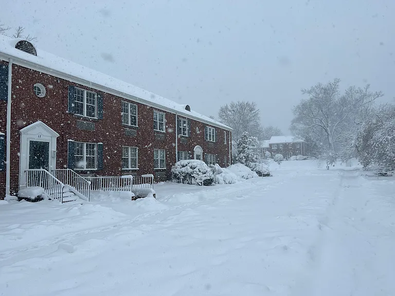 7 E Glebe Rd #C — Photo 21