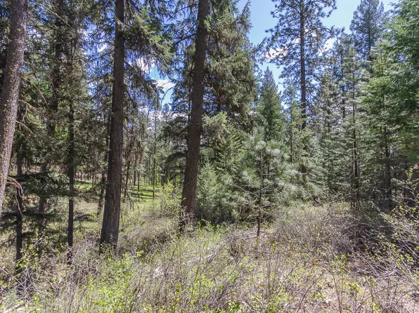 1100 Kitt Narcisse Rd Parcel A, Colville, WA 99114