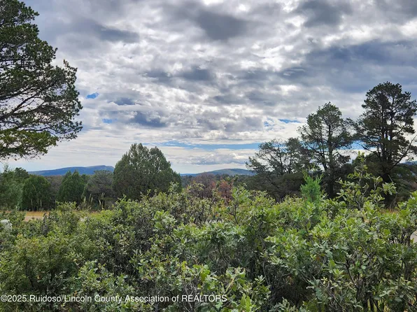50B Bobby Jones Ln, Alto, NM 88312