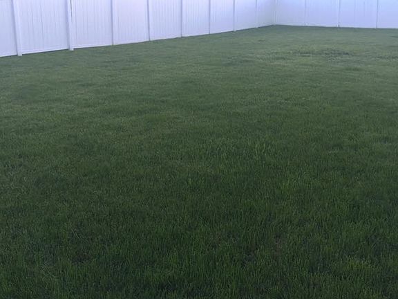 Large fenced in back yard 