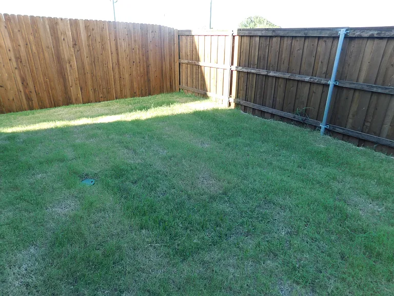 7011 Jessamine Dr — Photo 15