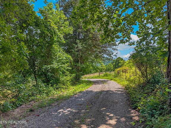 4th image of Ferguson Ridge Rd
