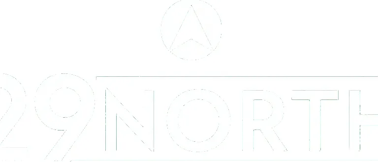 29 north transparent logo white