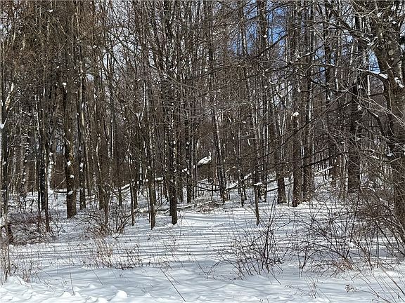 5th image of 0 Wilgus Rd