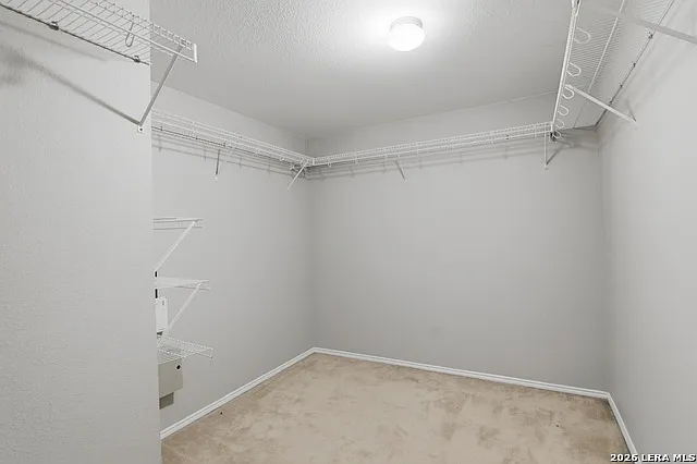 25537 Gold Yarrow — Photo 19