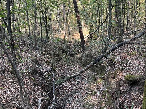 0 State Line Rd, Kentwood, LA 70444