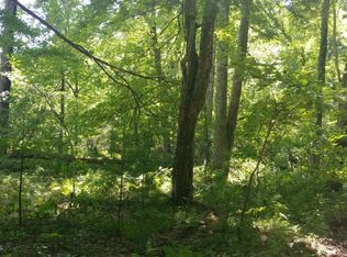 Astor, Baldwin, MI 49304