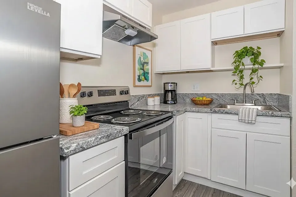 Modern kitchen