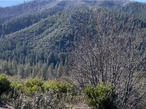 15595 Summit Dr, Cobb, CA 95426