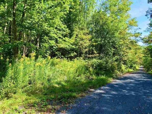 TBD Silas Lake, Halcott, NY 12430