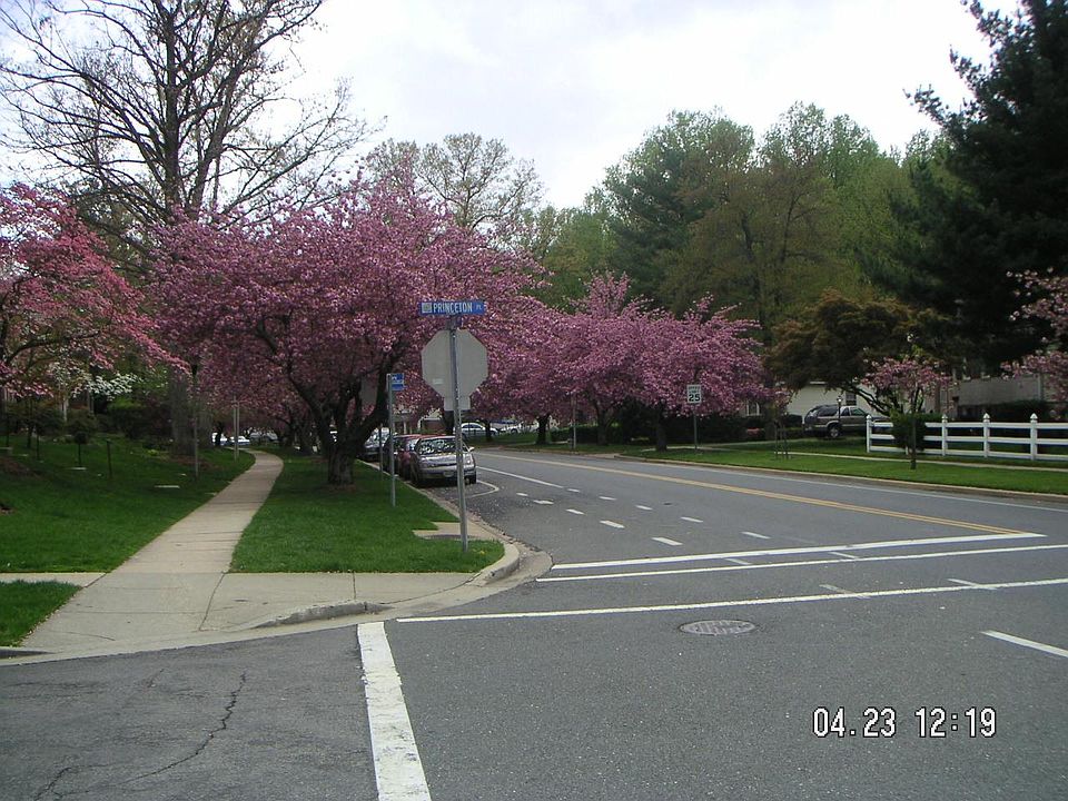 1st image of 766 Princeton Pl