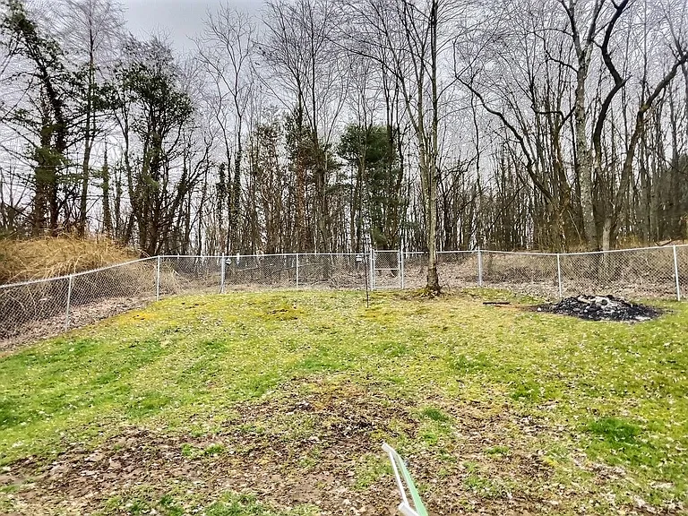437 New Castle St — Photo 28