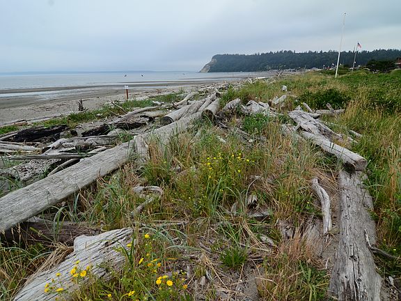 Private beach open to colony