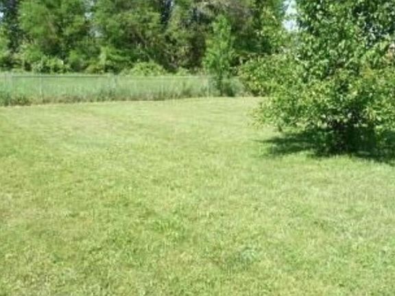 5th image of 1627 Hannibal Dr