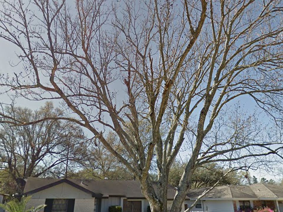 1st image of 609 Gardenia Ave