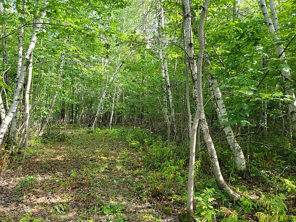 3rd image of 1443 North Road