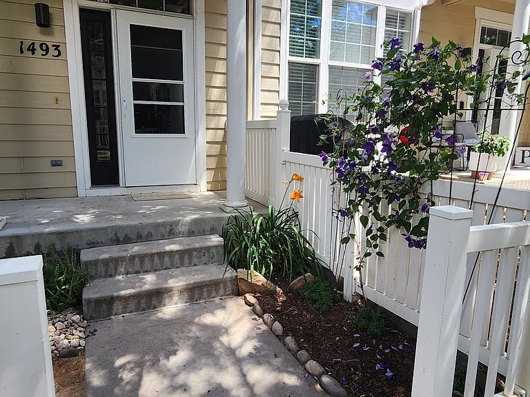 1493 Red Peak Dr — Photo 28