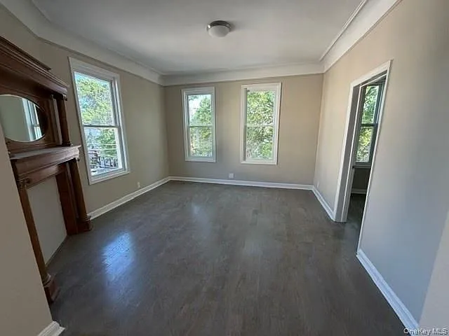 667 Morris Park Ave — Photo 8