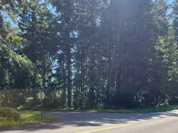 10401 Lake Josephine Boulevard, Anderson Island, WA 98303