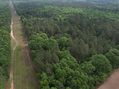 0 Arnett School Rd, Sylvania, GA, 30467