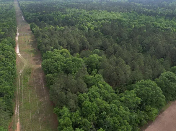 0 Arnett School Rd, Sylvania, GA 30467