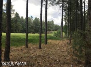 2580 S Monkshood Rd, Show Low, AZ 85901