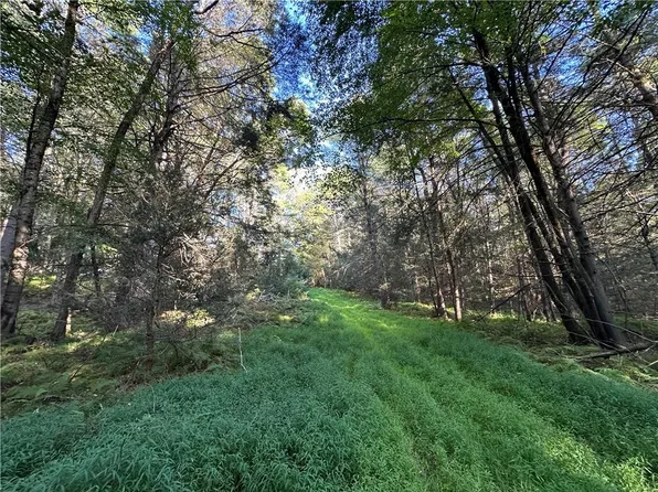 Lot 15-8 Ward Brower Jr Drive, Barryville, NY 12719