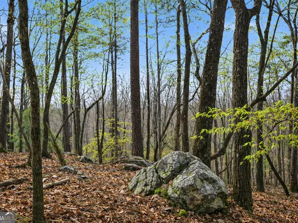 2335 Stonepile Rd Lot 2, Clarkesville, GA 30523