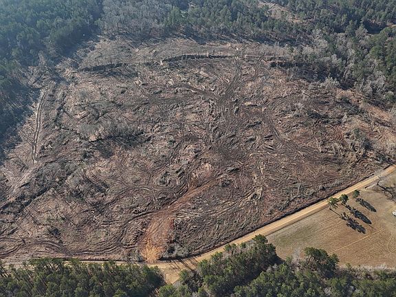 4th image of Firetower Rd