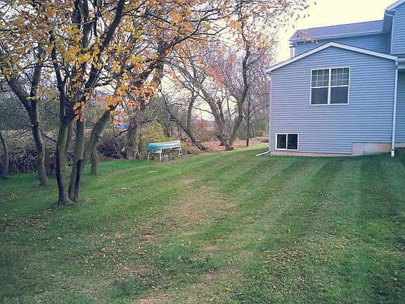 Side yard/ tree line