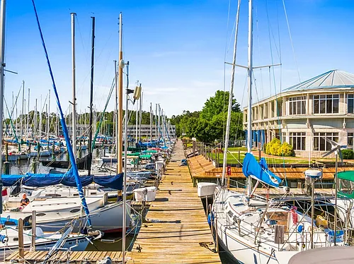 1605A Harbourside Dr Photo 1