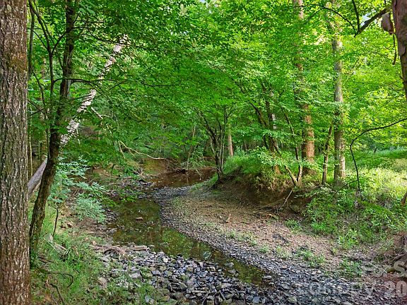 2nd image of 0 Lucy Short Cut Rd #2