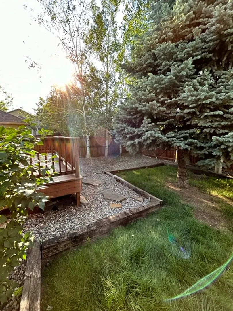 3 Bedrooms 2 Bathrooms House - Centrally Located - Brand New Floors — Photo 1