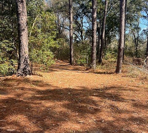 5th image of 5628 Bay Ln