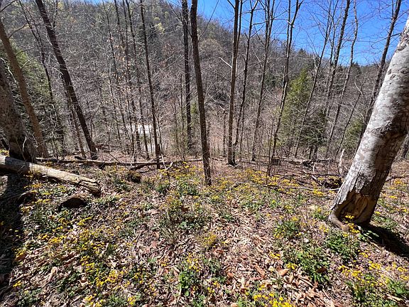 4th image of 230 Groves Wattsville