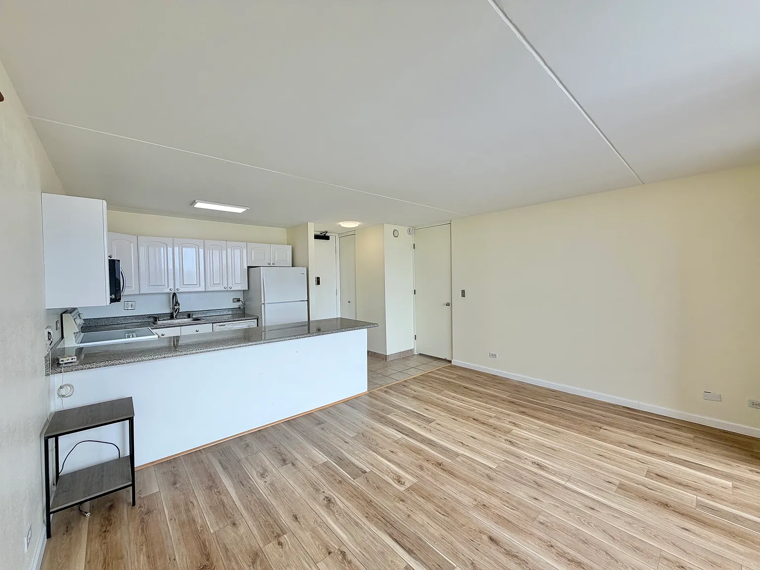 1 bed, 540 sqft, $2,900 — Photo 3