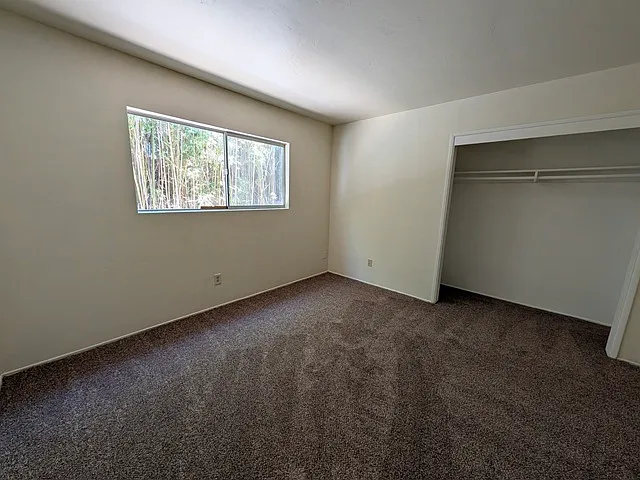 5209 Hewlett Dr — Photo 19