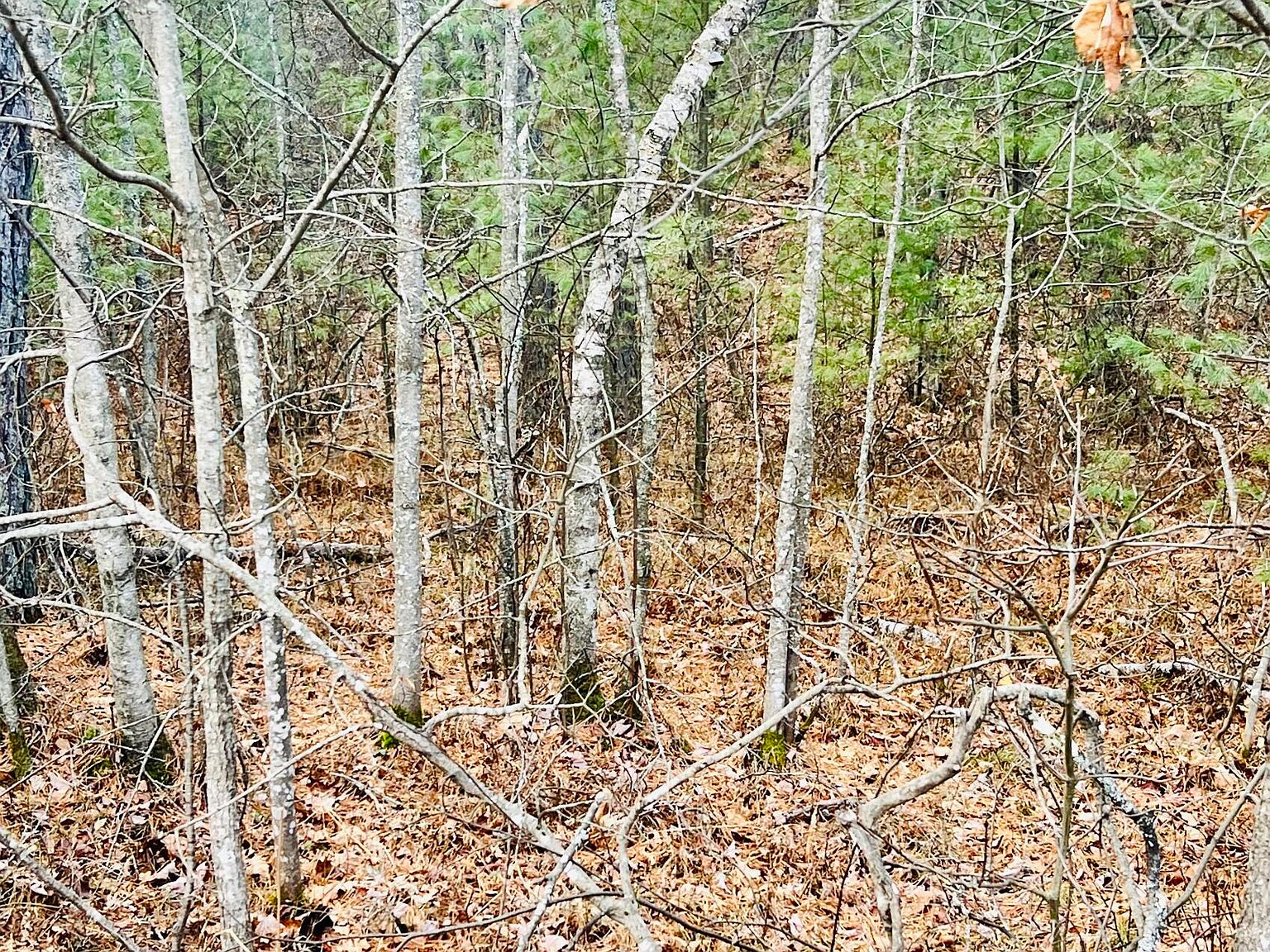 Lot 011 Granny Kent Pond Road, Shapleigh, ME 04076 Zillow