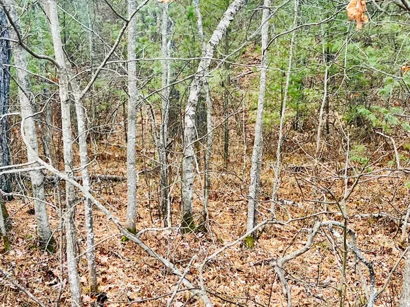 Lot #011 Granny Kent Pond Road, Shapleigh, ME 04076