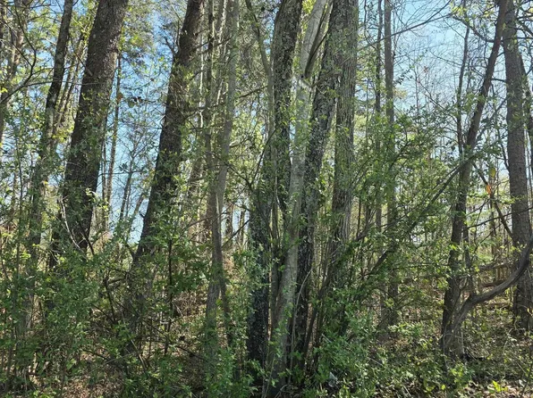 102 Pine Dr, Taylors, SC 29687