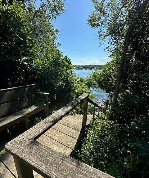 72 Ledge Rd — Photo 47