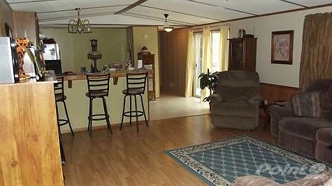 Living Room and Kitchen