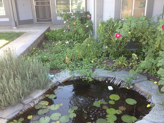 2nd image of 25711 Delphinium Ave