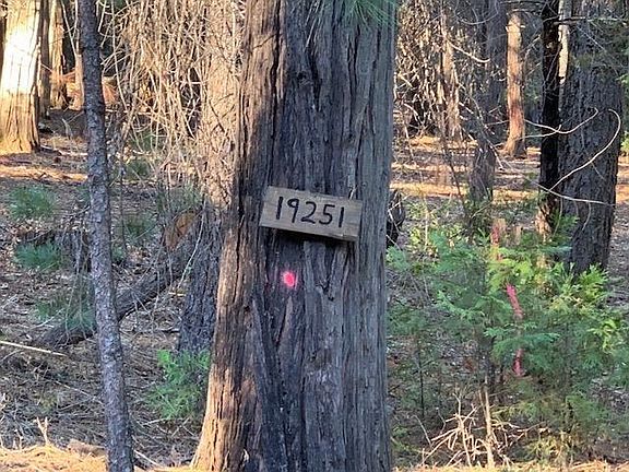 3rd image of 19251 Golden Meadow Dr