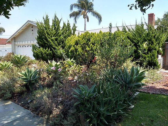 Native landscaping and privacy.