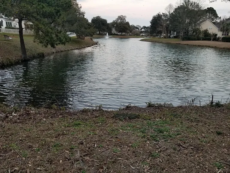 Pond