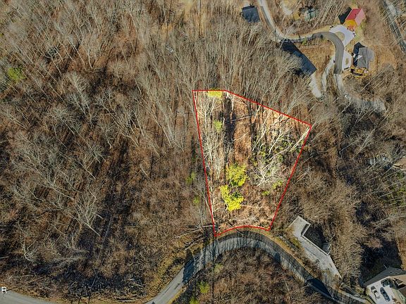 2nd image of 295 S Piney Butt Loop Lot 295