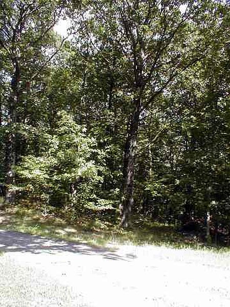 3rd image of 4 SCHOOL HILL Road