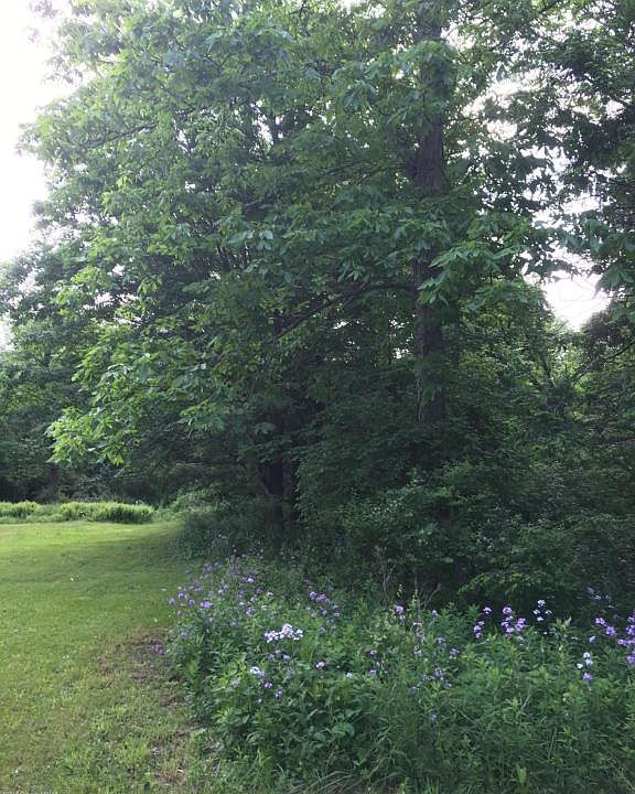 2nd image of 4688 Route 447
