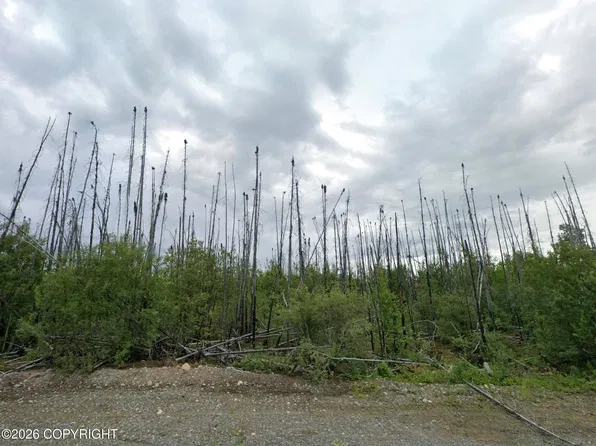 25774 W Serenity Dr, Willow, AK 99688